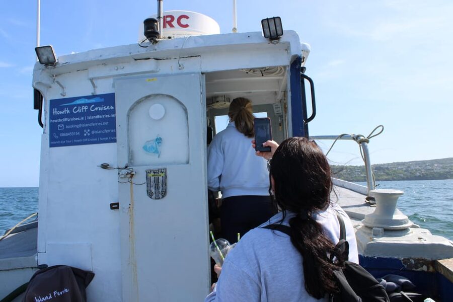 Dublin: Howth Cliffs and Lighthouse Boat Tour - Who this Howth Cliffs tour suits best