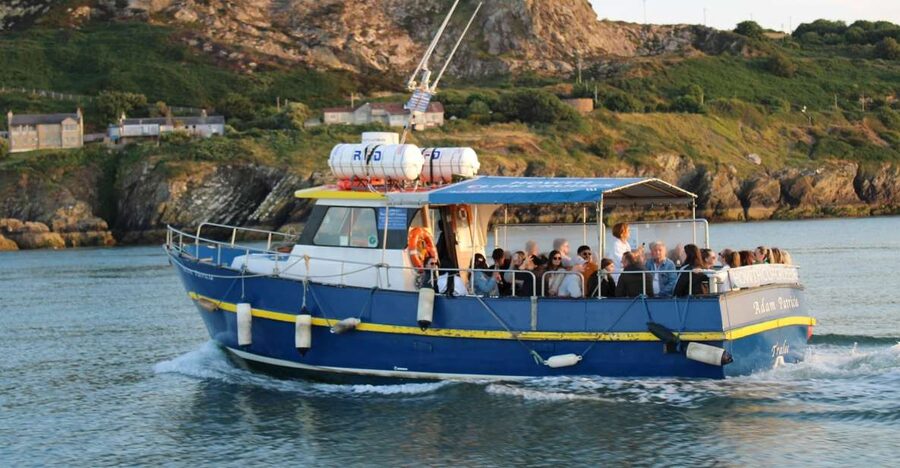 Dublin: Howth Cliffs and Lighthouse Cruise - Who This Cruise Fits Best
