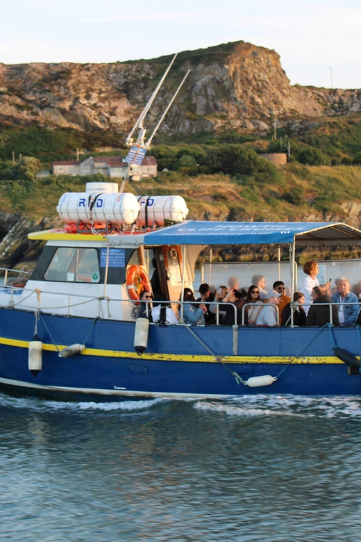 Dublin: Howth Coast and Ireland's Eye Boat Tour - Key highlights you will actually care about