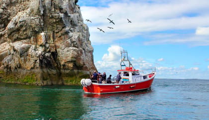 Dublin: Howth Coastal Boat Tour - Key highlights I’d put at the top