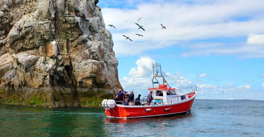 Dublin: Howth Coastal Boat Tour - Howth Cliffs, sea caves, and the UNESCO Dublin Bay Biosphere