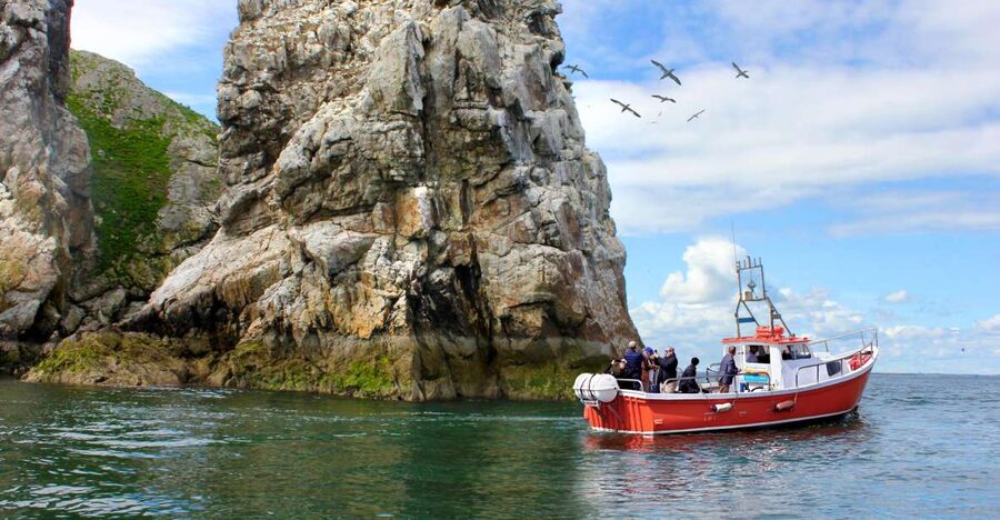 Dublin: Howth Coastal Boat Tour - Ireland’s Eye: the nature reserve, the Stack rock, and wildlife strategy