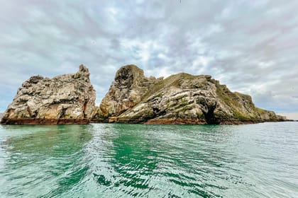 Dublin: Howth Coastal Boat Tour - Stop-by-stop: what happens when you board, cruise, and return to 9 W Pier