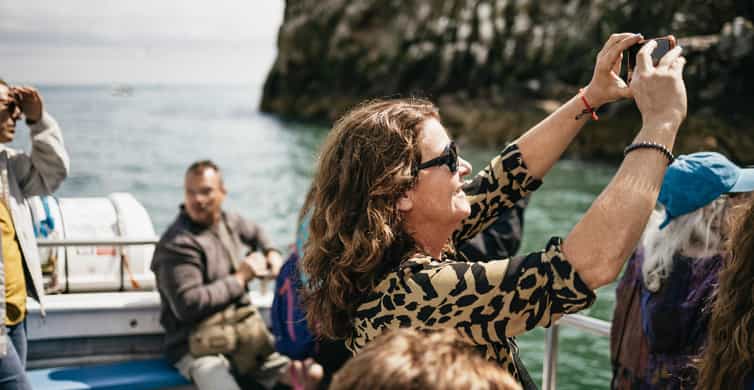 Dublin: Howth Coastal Boat Tour - The 50-minute cruise: what you’re doing on the water