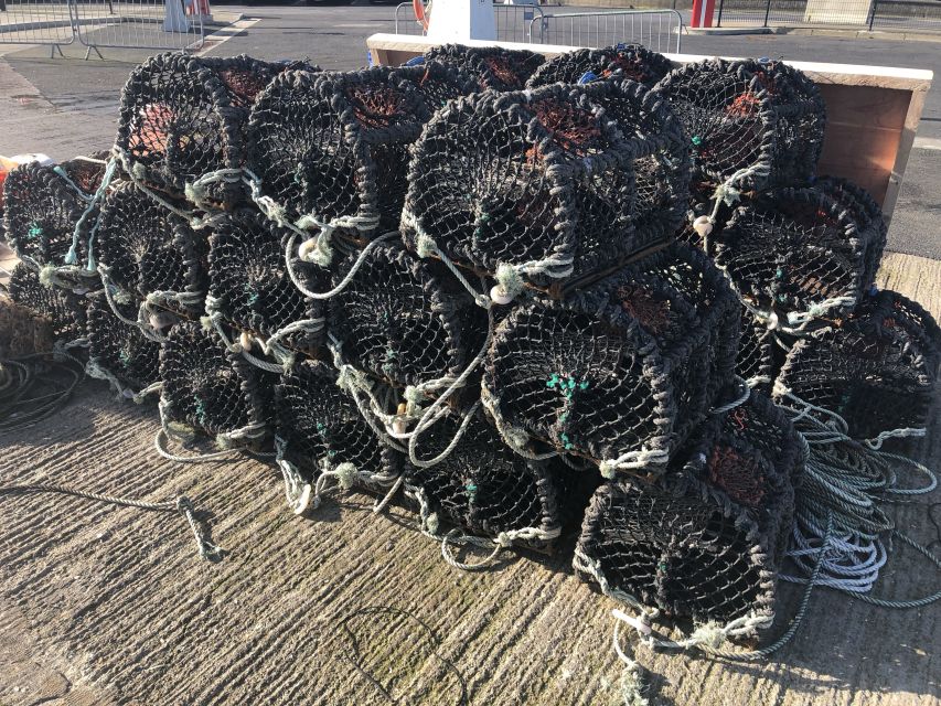 Dublin: Howth Coastal Craft Beer and Seafood Tour - Seafood stops in Howth: shrimp, steamed mussels, and more local catches