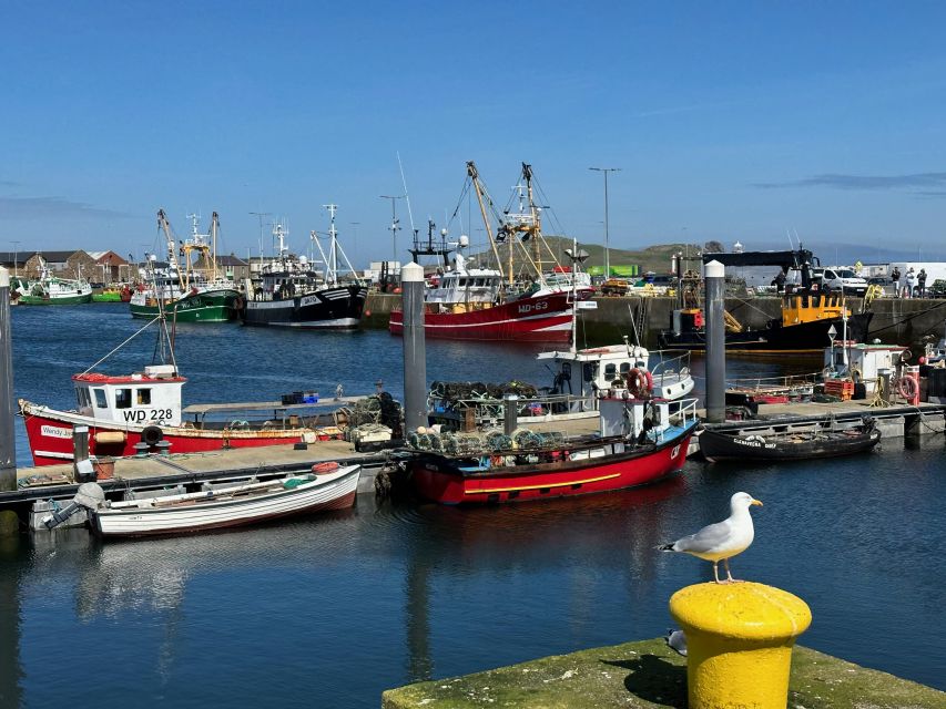 Dublin: Howth Coastal Hiking Tour - Heathlands, Wildflowers, and Staying Confident Off Road