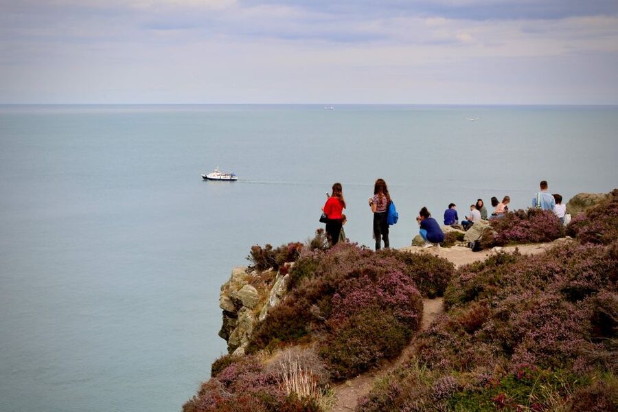 Dublin: Howth Coastal Hiking Tour - Howth Harbour Finish: Turning the Walk Into Real Plans for Food