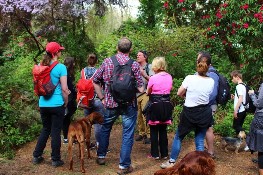 Dublin: Howth Coastal Hiking Tour - Price, Pace, and Value for $44