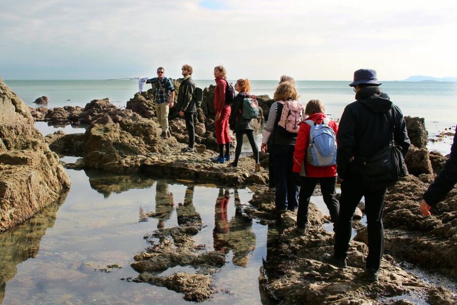 Dublin: Howth Safari Hiking Tour - Clifftop photo point and the Baily Lighthouse viewpoint