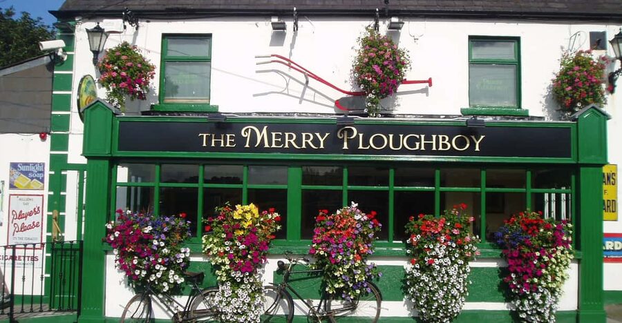 Dublin: Irish Night Show at the Merry Ploughboy Pub - What the live show feels like: songs, singers, and stepdancing