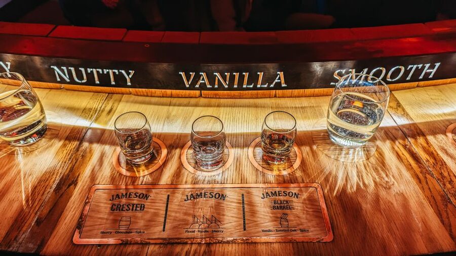 Dublin: Jameson Whiskey Distillery Tour with Tastings - Tips to get the most from the tour