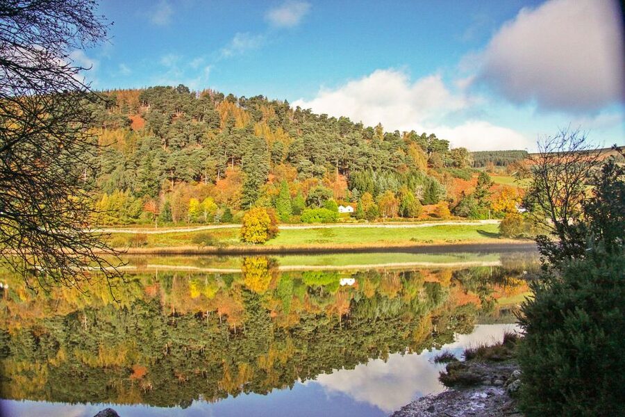 Dublin: Kilkenny, Wicklow & Glendalough Tour & Sheepdog Show - Who should book this tour, and who should skip it