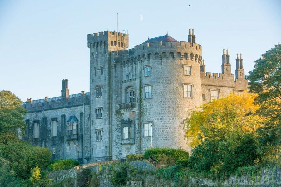 Dublin: Kilkenny, Wicklow & Glendalough Tour & Sheepdog Show - A sheep farm stop where the dogs do the talking