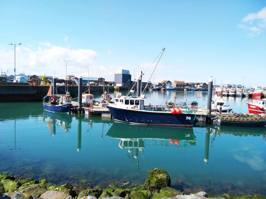 DUBLIN: Malahide castle and Howth MULTILINGUAL full day tour - Howth harbor seals: spotting them is luck, but you can stack the odds