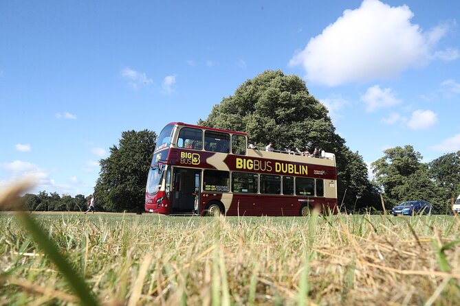 Dublin Shore Excursion, Live Guided Open-top, Hop-on Hop-off Sightseeing Tour - Common hiccups, especially bus frequency, and how to plan around them