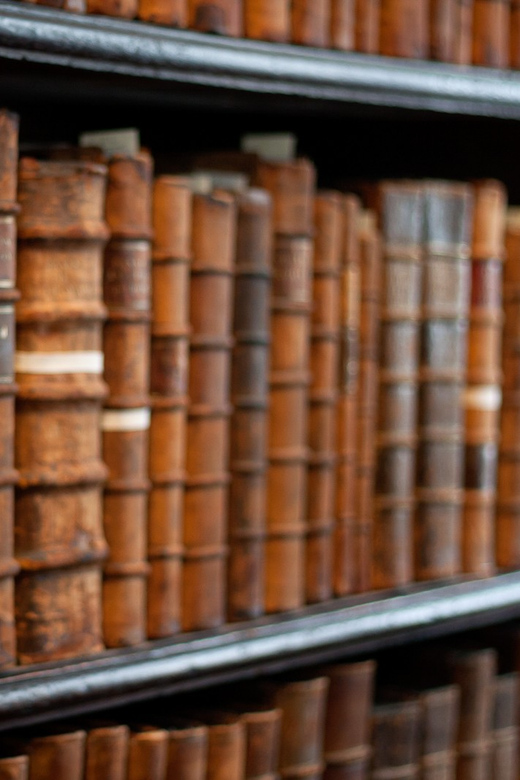 Dublin: St Patrick's, Book of Kells, and Dublin Castle Tour - What the guide really adds, from Martin Drew to Seamus