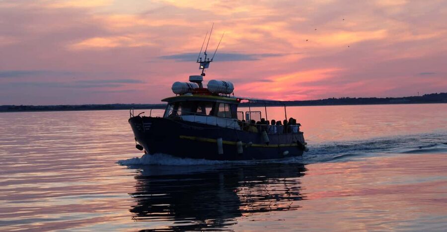 Dublin: Sunset Cruise in Howth - Key highlights before you go