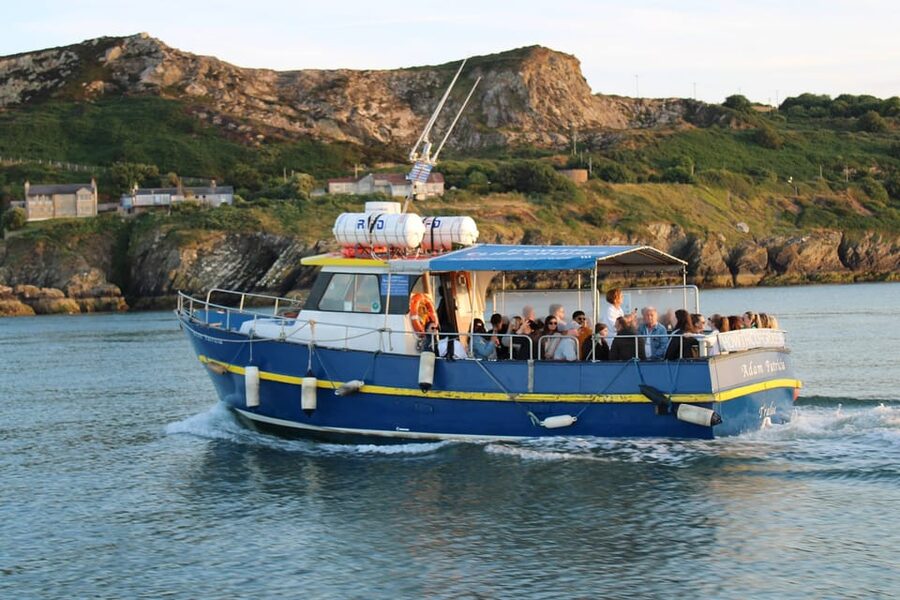 Dublin: Sunset Cruise in Howth - The 50 minute cruise portion: what happens on the water