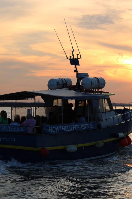Dublin: Sunset Cruise in Howth - Ireland’s Eye at sunset: the wildlife and the scenery in one place