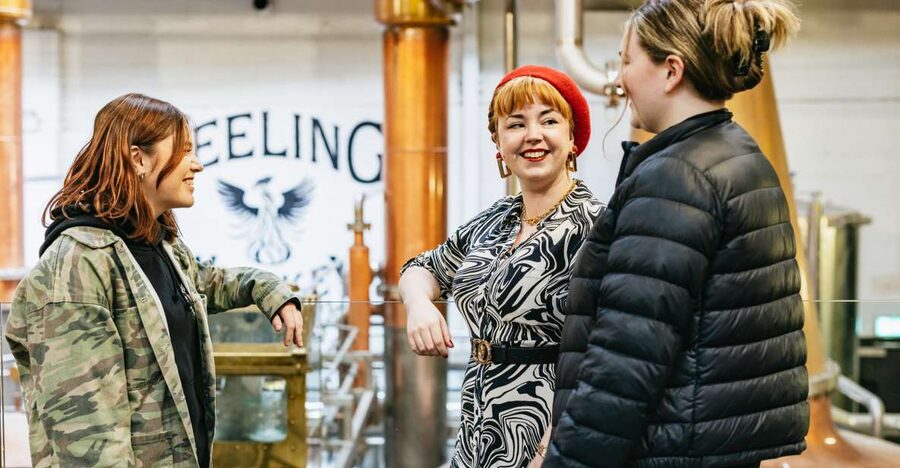 Dublin: Teeling Whiskey Distillery Tour & Tasting - The guided tour inside a working distillery (what you actually see)
