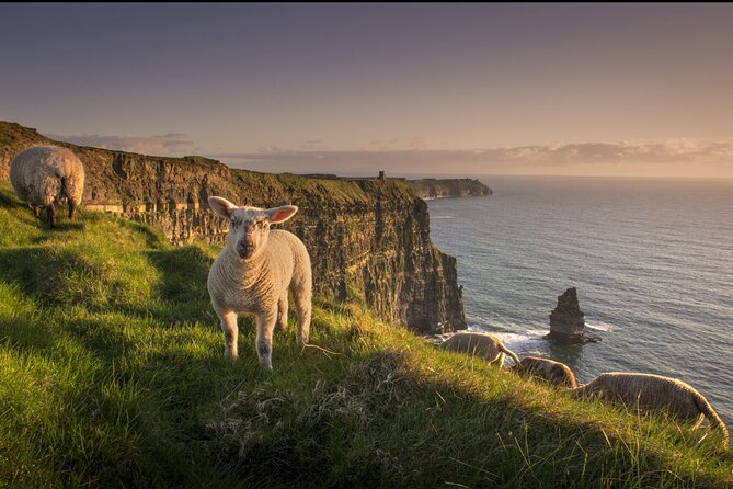 Dublin to Cliffs of Moher, Ennis Town & Bunratty Castle Day Tour - The best fit for your trip style