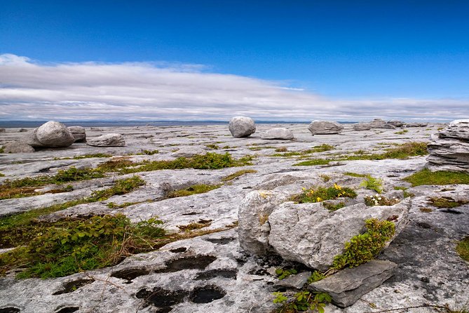 Dublin to Cliffs of Moher, including Wild Atlantic Way and Galway - Highlights That Matter (Not Just Marketing)