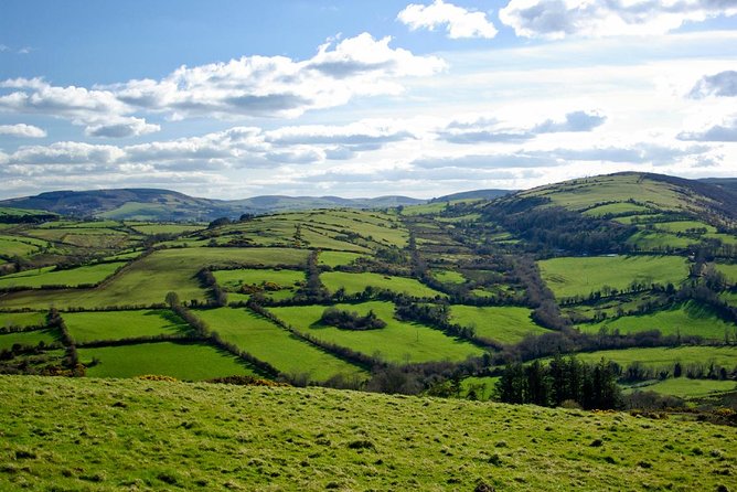 Dublin to Kilkenny Castle and House Of Waterford Crystal Day Tour - The rail-first plan that makes this day feel smoother