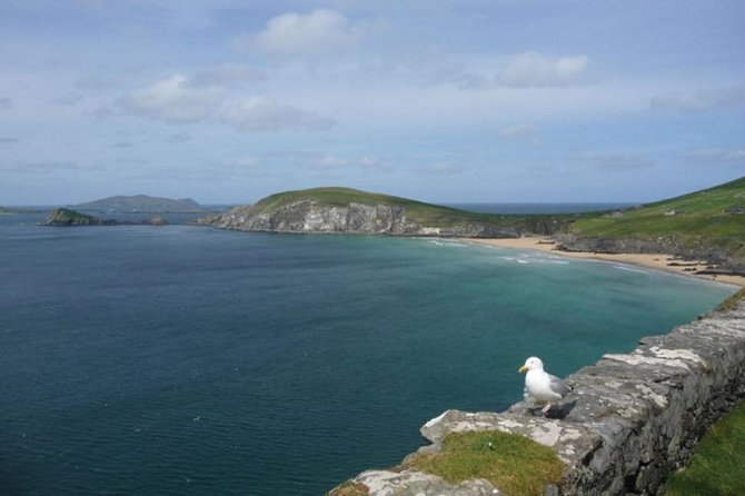Dublin to South West 5 Day Small-Group Tour with Accommodation - Day 2: Burren, Kilfenora, Cliffs of Moher, Lahinch, and ferry to Killarney