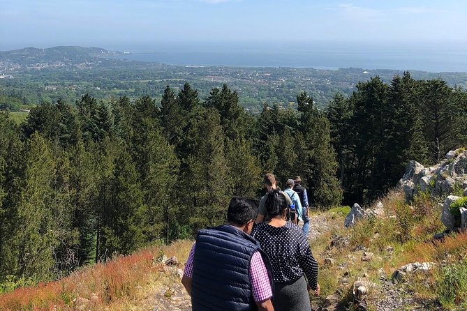 Dublin to Wicklow, Glendalough Small Group Tour with Guided Walk - Glendalough Monastic Settlement and the Upper Lake: Where the Day Becomes Special