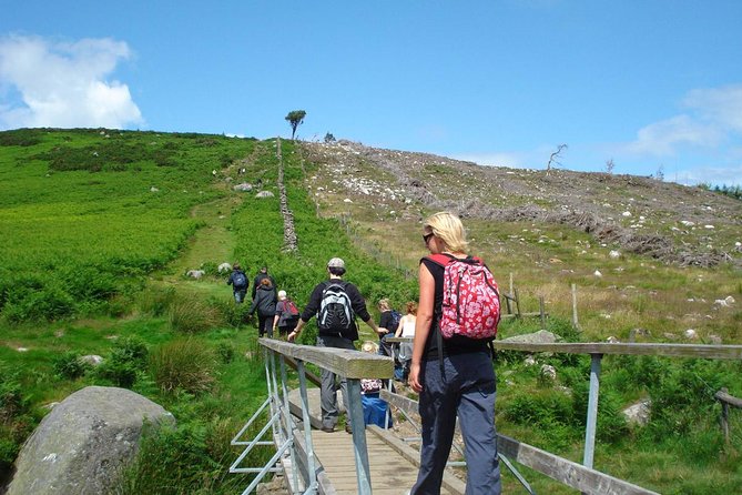 Dublin to Wicklow, Glendalough Small Group Tour with Guided Walk - Who Should Book This Tour (and Who Might Want Another Option)