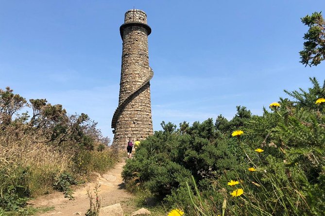Dublin to Wicklow, Glendalough Small Group Tour with Guided Walk - Scalp in Wicklow Mountains National Park: The 1.5-Hour Guided Walk You’ll Remember