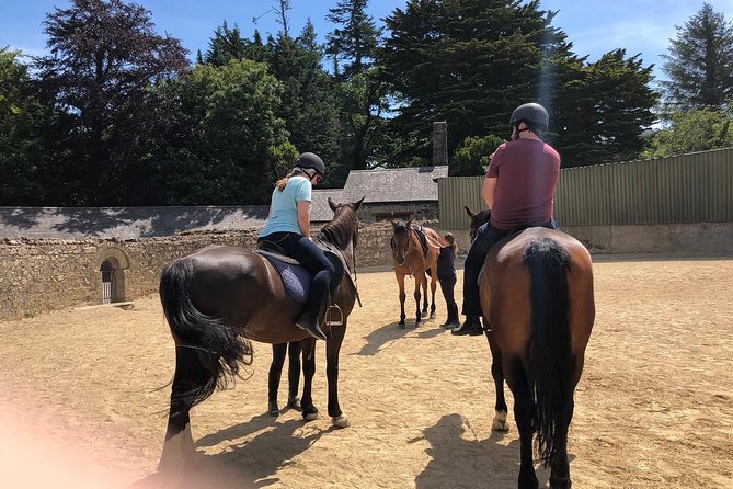 Dublin to Wicklow, Glendalough Small Group Tour with Horse Riding - Should You Book This Wicklow Horse Riding Day Trip?