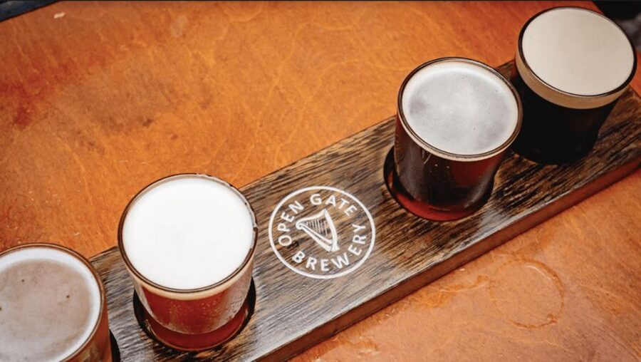 Dublin: Traditional Pubs Walking Tour with Local Guide - The Four Pubs: How Each Stop Changes the Mood of Your Night