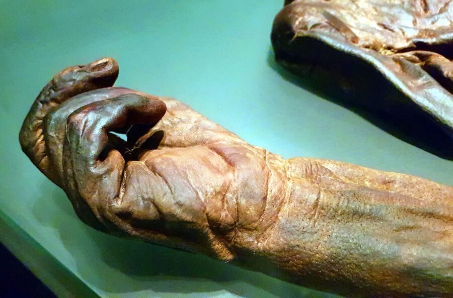 Dublin: Treasures of Ireland Museums Private Tour - The half-way break that keeps the 3 hours from blurring