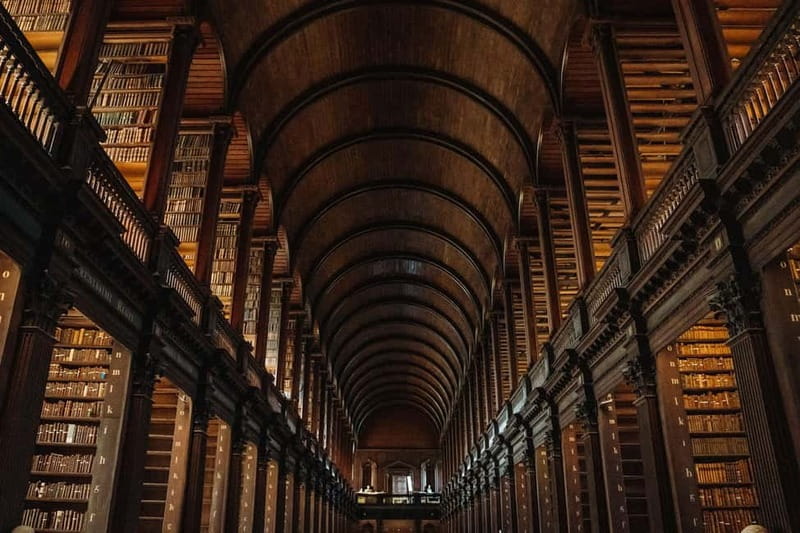 Dublin: Trinity College, Castle, Guinness and Whiskey Tour - Price and value: what $169 buys you in Dublin