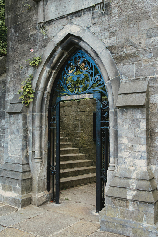Dublin walking tour: ghosts & haunted places - Price and what $54 buys you in practical terms