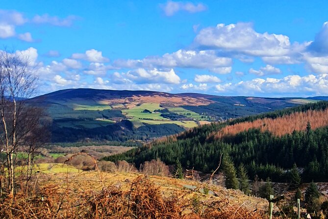 Dublin & Wicklow Mountain Pub Tour small group tour max 15 people - The 2:00 pm start and a full 9-hour day