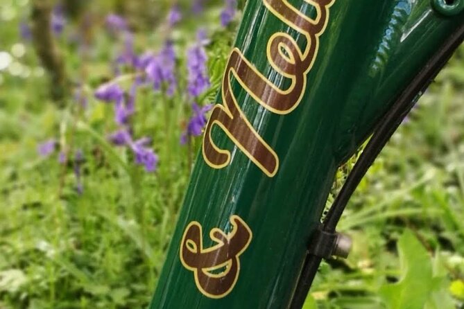 E-Bike Cycle Greenway - Westport To Achill Island Atlantic coast - E-Bike Choice and Comfort: Why the Smaller German Bikes Matter