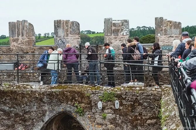Easy Access Blarney Stone and Castle Gardens Tour - Price and value: why $71.35 can make sense