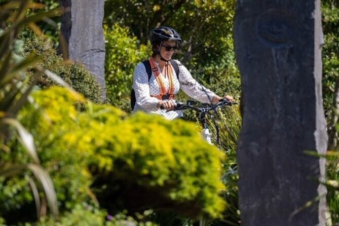 Electric Bike Tour of Kinsale with Expert Local Guide - Price and value: what $90.51 buys you for 3 hours