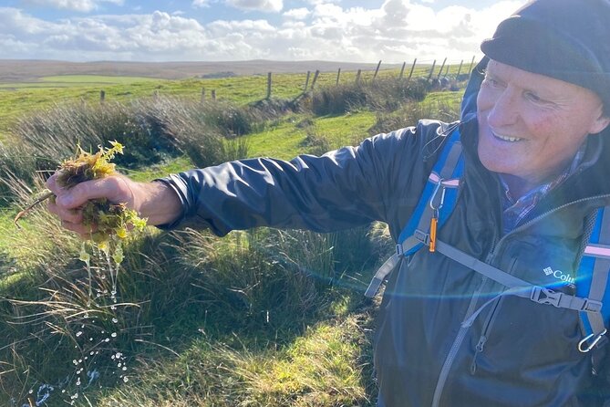 Erris Head Guided Walking Tour (AlchemyTours.ie) - Price and value: is $30.01 worth it?