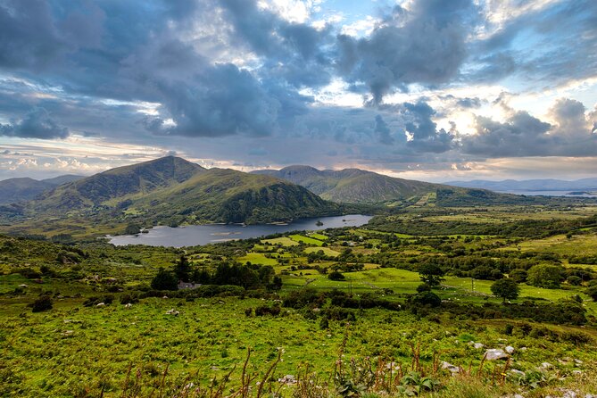 Exclusive Private Ring of Beara Tour from Killarney - Castletownbere: seafood time on the Beara Peninsula