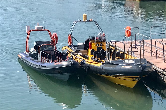 Exhilarating Rib experience - Dingle sea safari - Stop on the itinerary: the Dingle Sea Safari stretch that most people miss