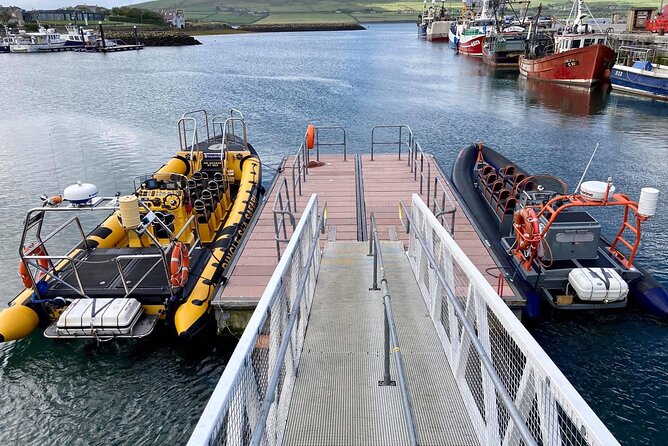 Exhilarating Rib experience - Dingle sea safari - Comfort tips that make the ride better