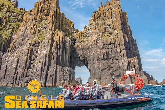 Exhilarating Rib experience - Dingle sea safari - Price and value: is about $120.93 per person fair?