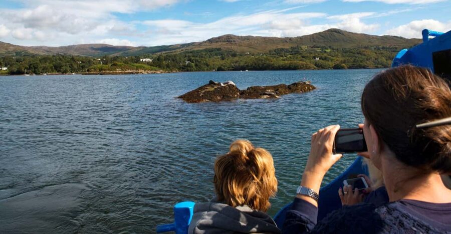 Fastnet Rock Lighthouse direct boat tour-Baltimore.Guided. - Key takeaways before you go