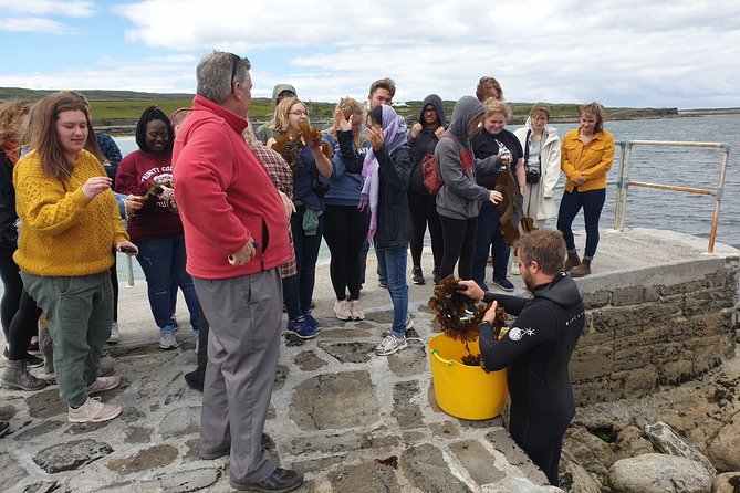 Food, heritage & cultural tour Inishmore, Aran Islands. Guided. - Private 5-hour Inishmore loop that keeps you ahead of the crowds