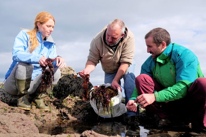 Food, heritage & cultural tour Inishmore, Aran Islands. Guided. - Na Seacht Teampaill (Seven Churches): pilgrimage era, but not just seven churches