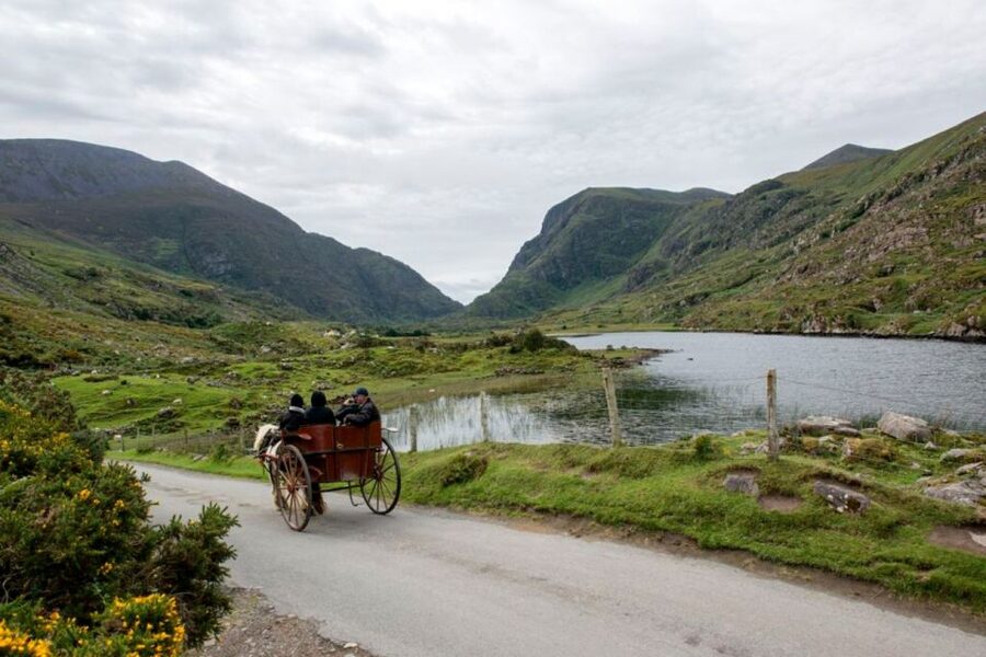 From Cork: 9-Hour Guided Ring of Kerry and Killarney Tour - Sneem lunch in Kenmare Bay: plan for bacon and cabbage or fish and chips