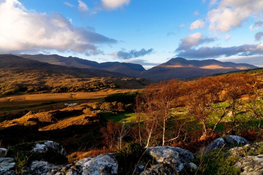 From Cork: 9-Hour Guided Ring of Kerry and Killarney Tour - Moll’s Gap to Ladies View: mountain passes, Queen Victoria, and the leprechaun crossing